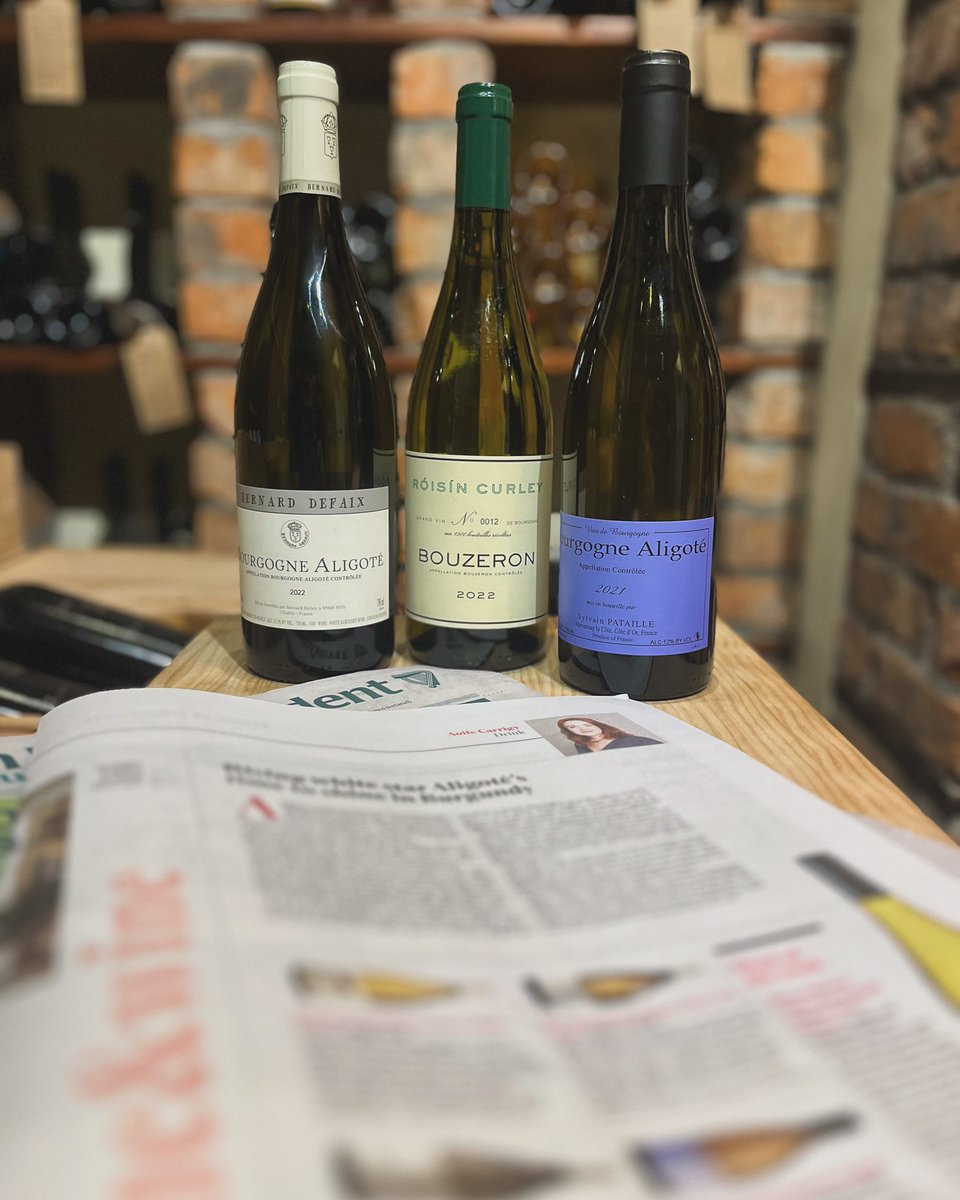 Great piece by Aoife @AoifeCarrigy_ in this morning‘s Paper @Independent_ie highlighting the unsung star that is Burgundy’s Aligoté including three of our favourites in her selection. @roisincurley #domainebernarddefaix #sylvainpataille #aligoté