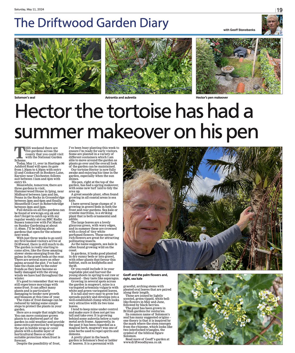 Today's @brightonargus  and my weekly gardening feature (with the correct images, the online version has incorrect images) geoffstonebanks.co.uk/argus/11may202… #sussex #gardening @NGSOpenGardens