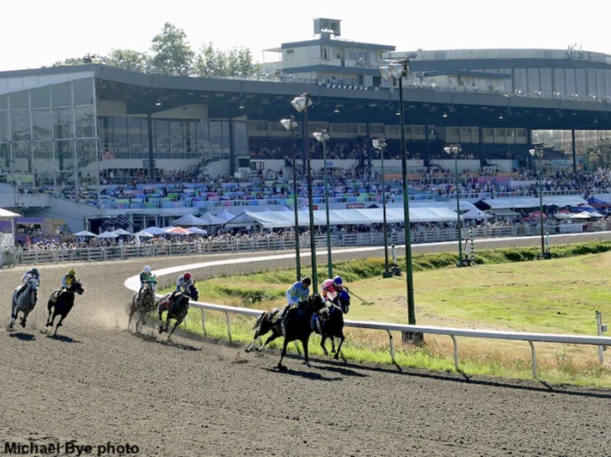 Steve Coxon Racing 🏇 tweet media