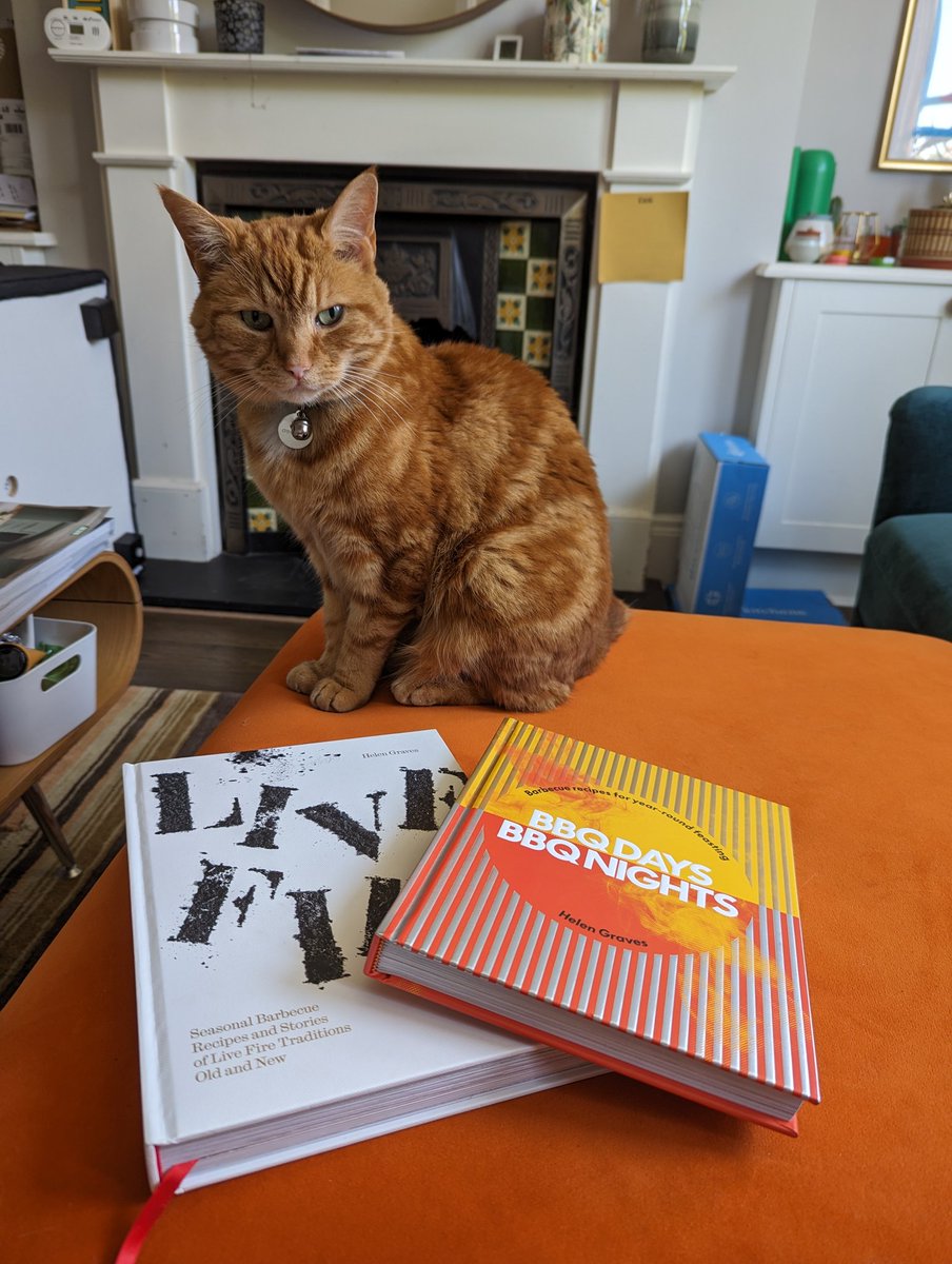 rhiaction tweet media