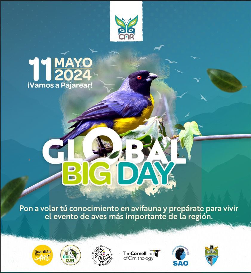 ¡Llegó el día!🦅 Te invitamos a vivir de las grades experiencias que tenemos en el Global Big Day. Volemos juntos con el encanto de las aves de nuestro territorio. #GlobalBigDay