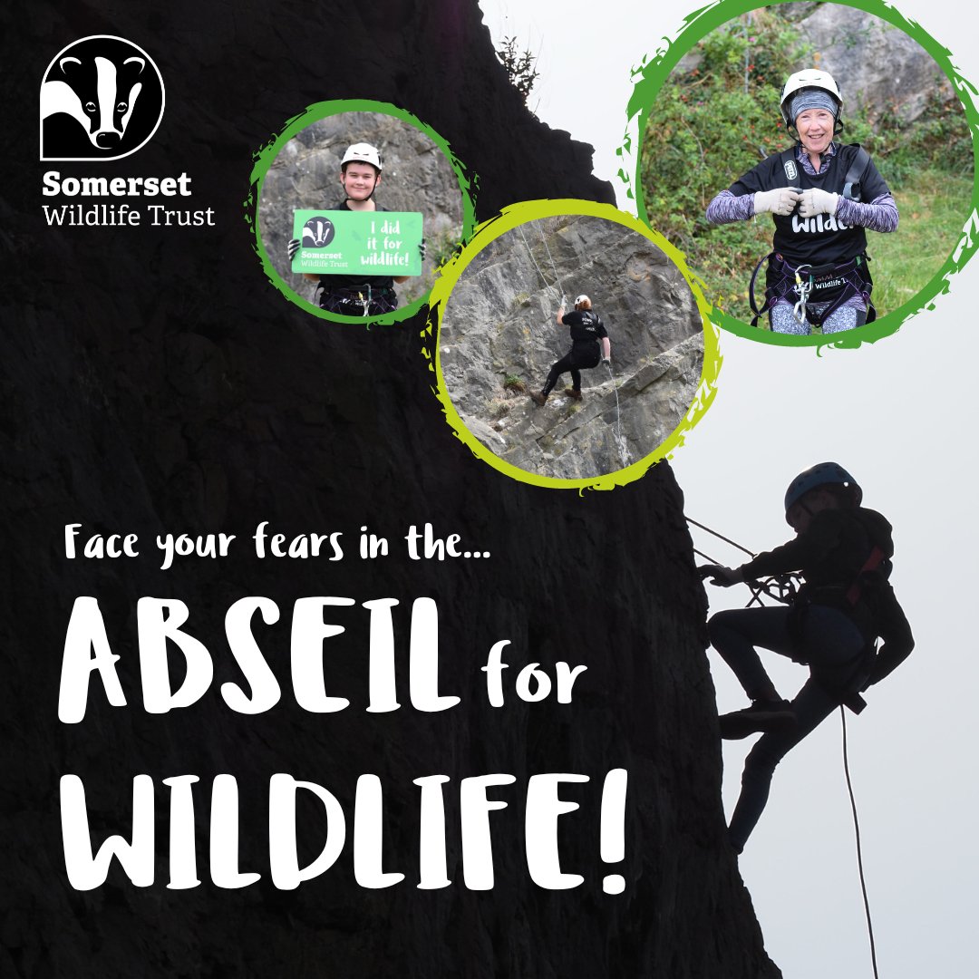 We'll be abseiling for wildlife in just ONE WEEK! 🦅 It's not too late to join us — book your place and get ready to face that fear of heights: eventbrite.co.uk/e/abseil-for-w… #ChallengeYourselfForWildlife #Somerset #Abseil