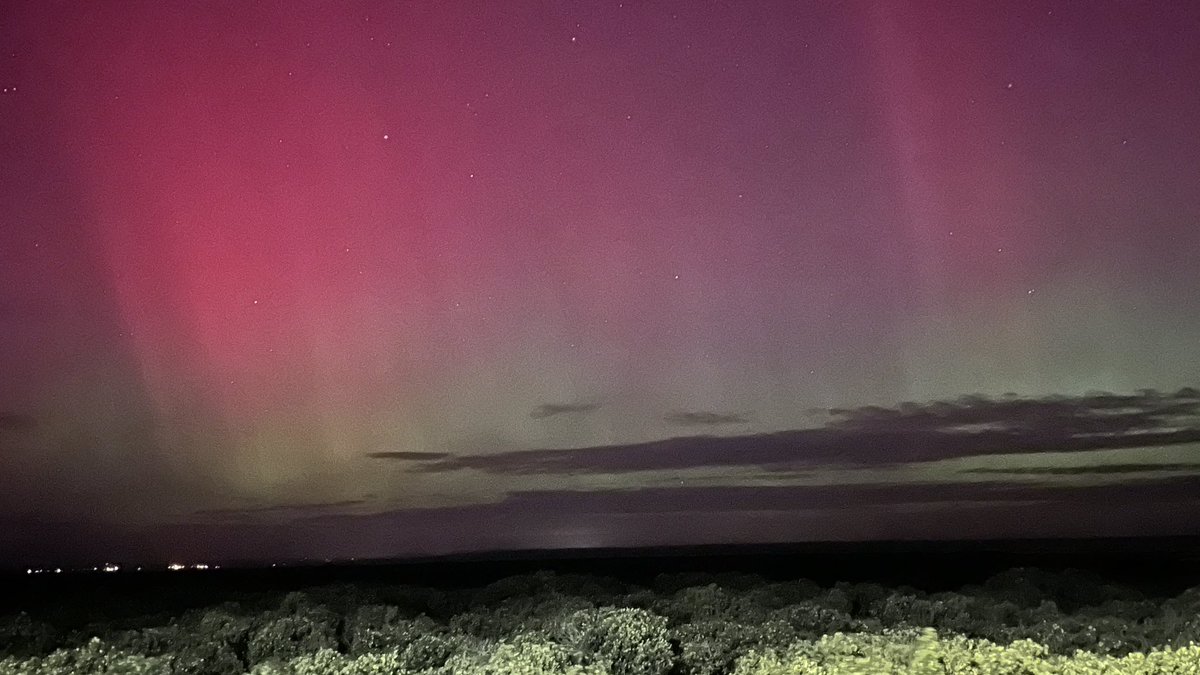 Andrew Boyle tweet media