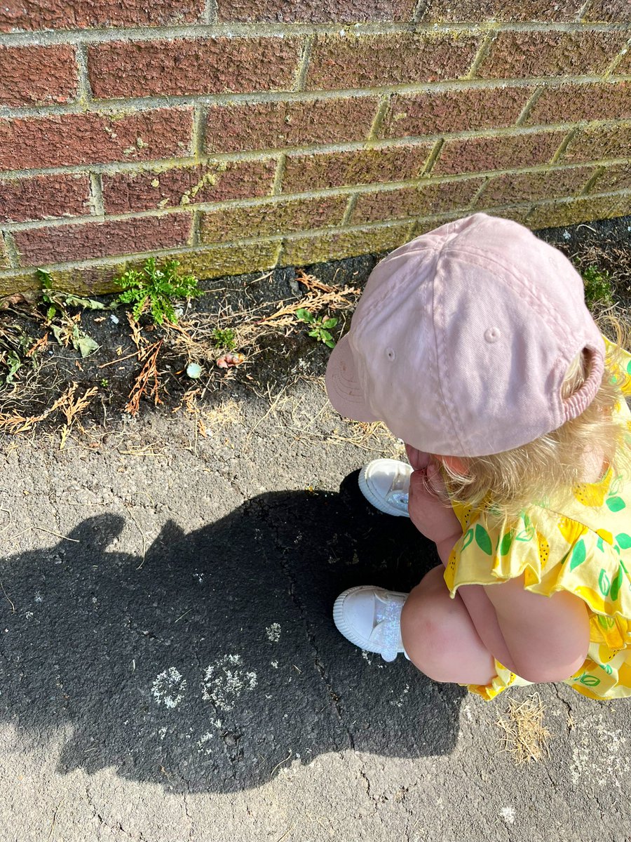 “What’s that Daddy?”

“It’s a baby bird, darling.”

“Is it sleeping?”

“Errrm, yeah.”

At what point is it fair/right to talk about death? 😳🤷🏼‍♂️