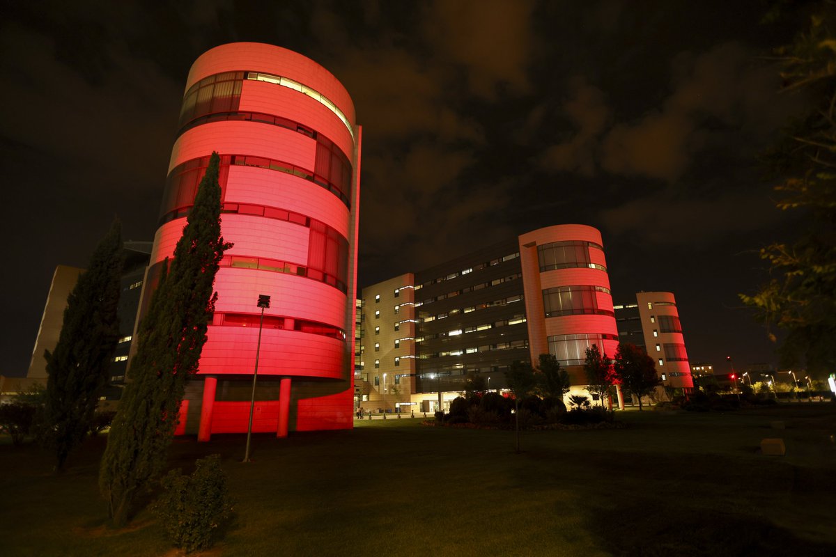 Soc Esp Cardiología tweet media