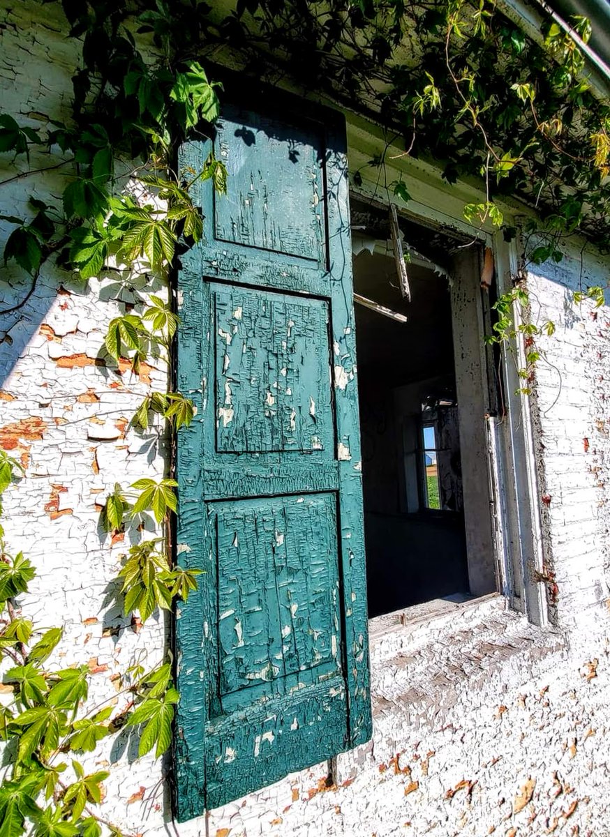 Taken over by time...
#abandoned #abandonedhouse #visualstoryteller #freelancer #travelphotography #window #green