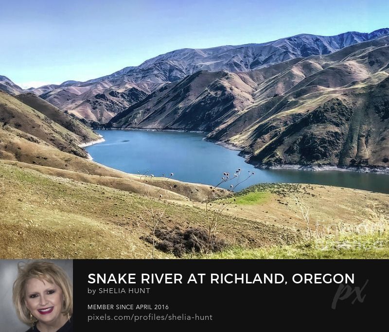 See the beautiful Snake River in the Pacific Northwest in this new image: buff.ly/3JYX03w #SheliaHuntPhotography #BestOfTheUSA #BestOfThe_USA #BuyIntoArt #Richland #RichlandOR #SnakeRiver #westerns