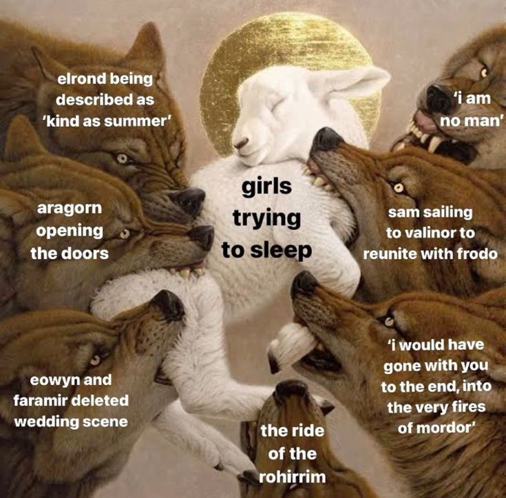 evenstvr's tweet photo. girls only care about a handful of things https://t.co/oh0vpG8OwV