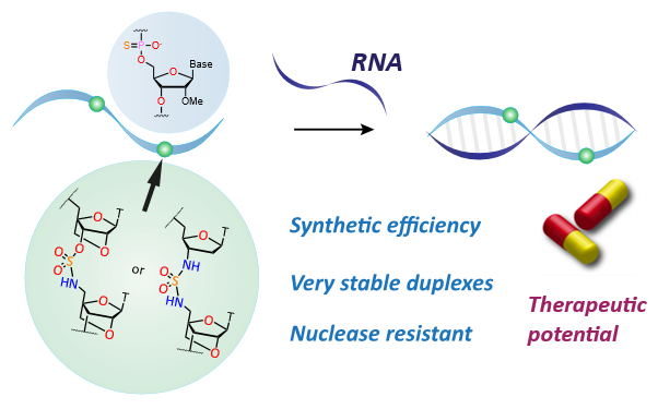 JOC_OL's tweet photo. Oligonucleotide drugs have great potential but poor bioavailability. Charge-neutral LNA-sulfamate backbones may offer a solution. These are easily synthesized, have high affinity for RNA, and excellent in vivo stability. Learn more from @Prof_Tom_Brown https://t.co/rCHnw4Xo49 https://t.co/LotnpuUTyX