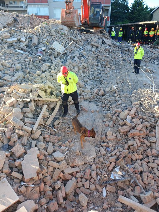 #sapsWC #GeorgeBuildingCollapse #SAPS sniffer dogs lead #SearchAndRescue teams to survivor under rubble in George on day 5 of mission. On Saturday morning as part of the search and rescue mission, Warrant Officer Marius Visser with his sniffer dog, Abbey (in photo), led the teams…