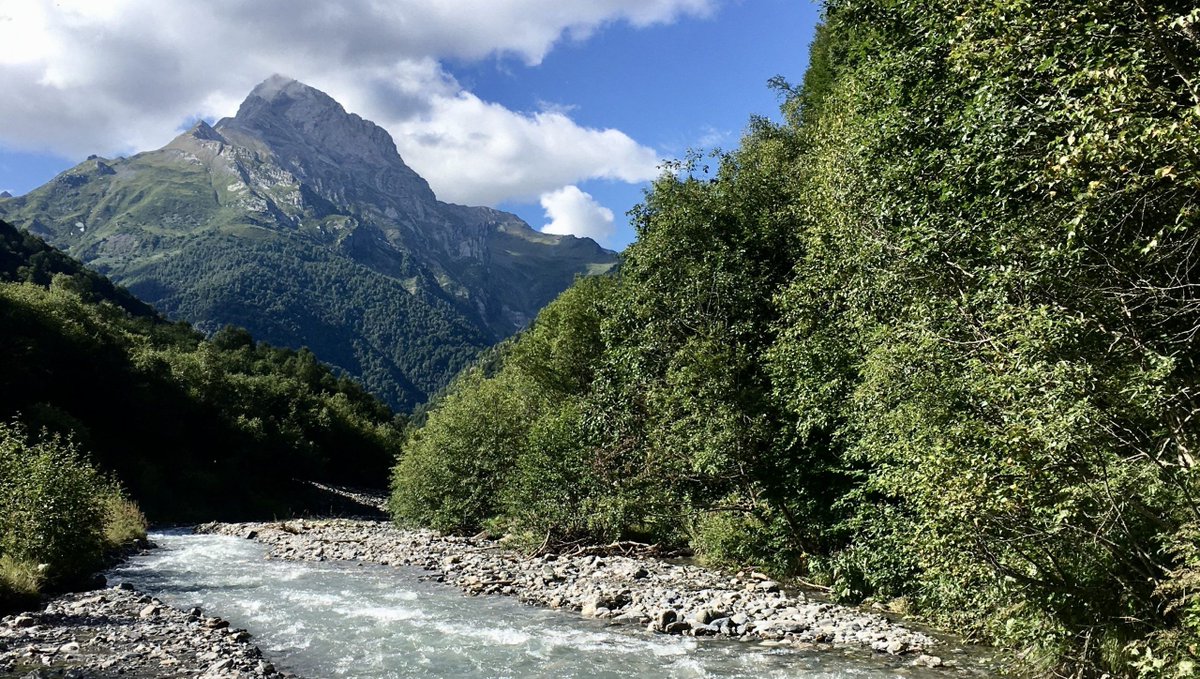 Transcaucasian Trail tweet media