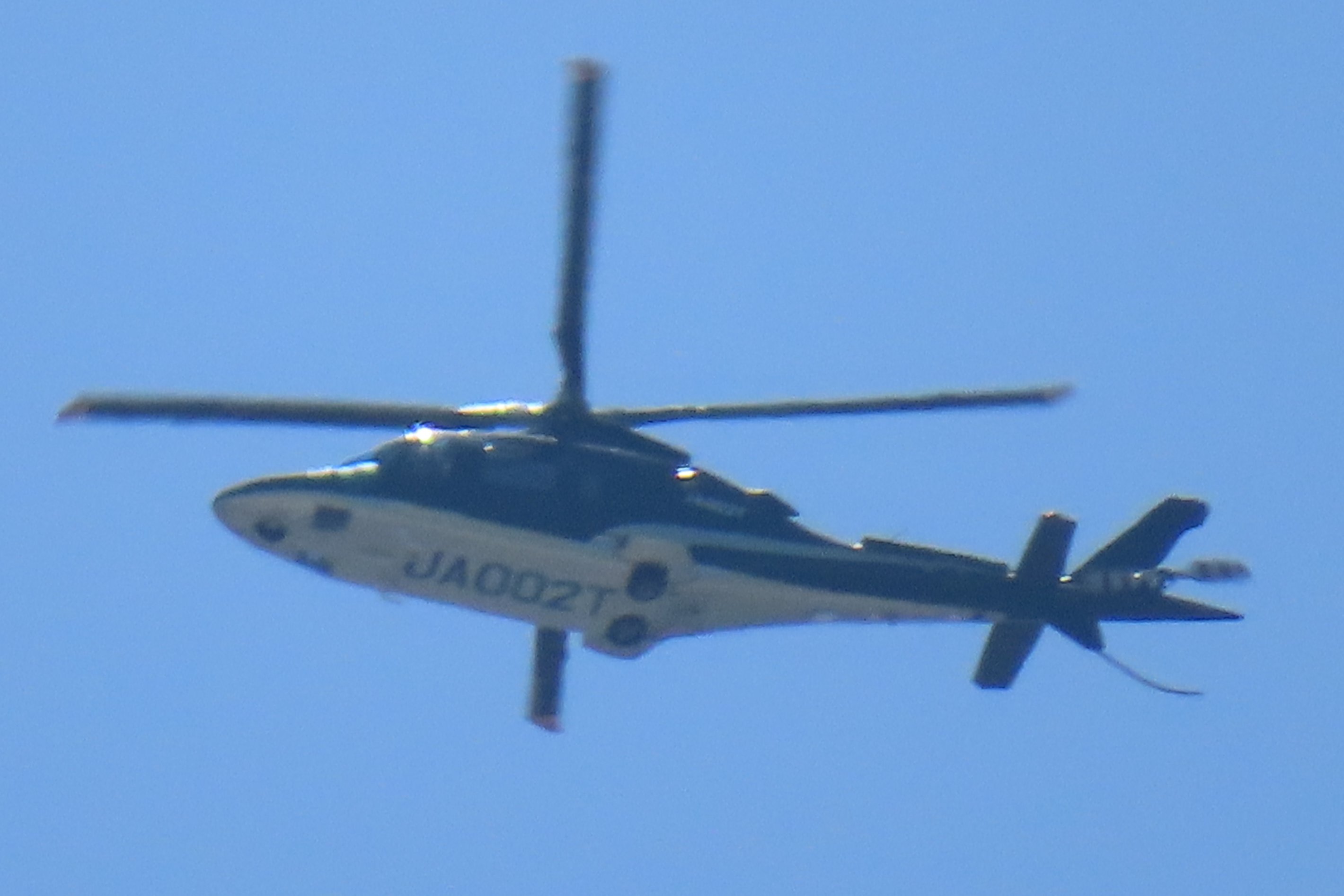 カモノハシZ🚁✈️🛩🚂🚅🚞 on X: カモノハシZ🚁✈️🛩🚂🚅🚞 on X: