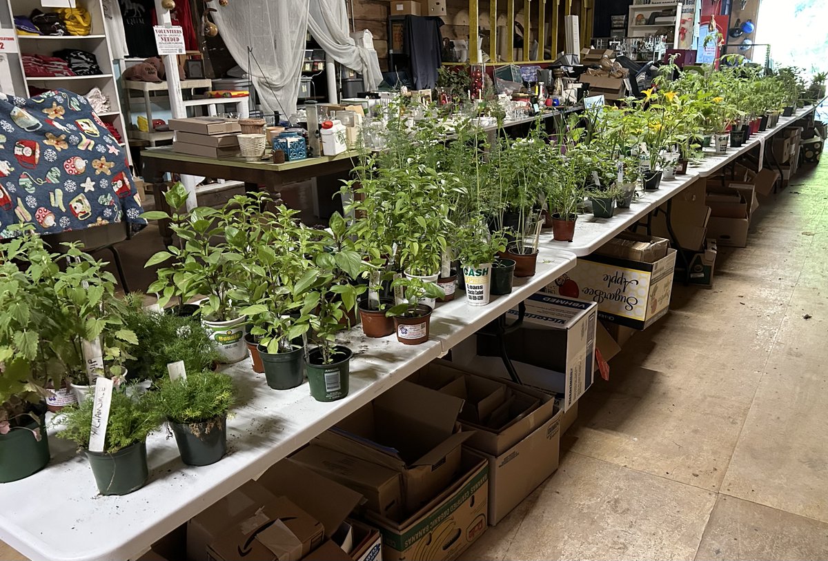 Colby's Army tweet media