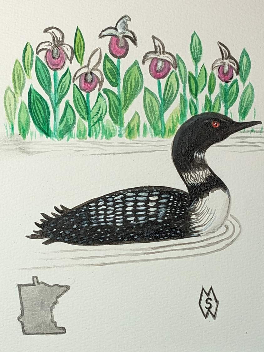 This is my acrylic painting of the Minnesota state bird and flower, which are the common loon and pink-and-white lady’s slipper.   redbubble.com/shop/ap/140885… #mattstarrfineart #gift #minnesota #bird #birds #flower #flowers #loon #loons #commonloon #ladysslipper #stpaul