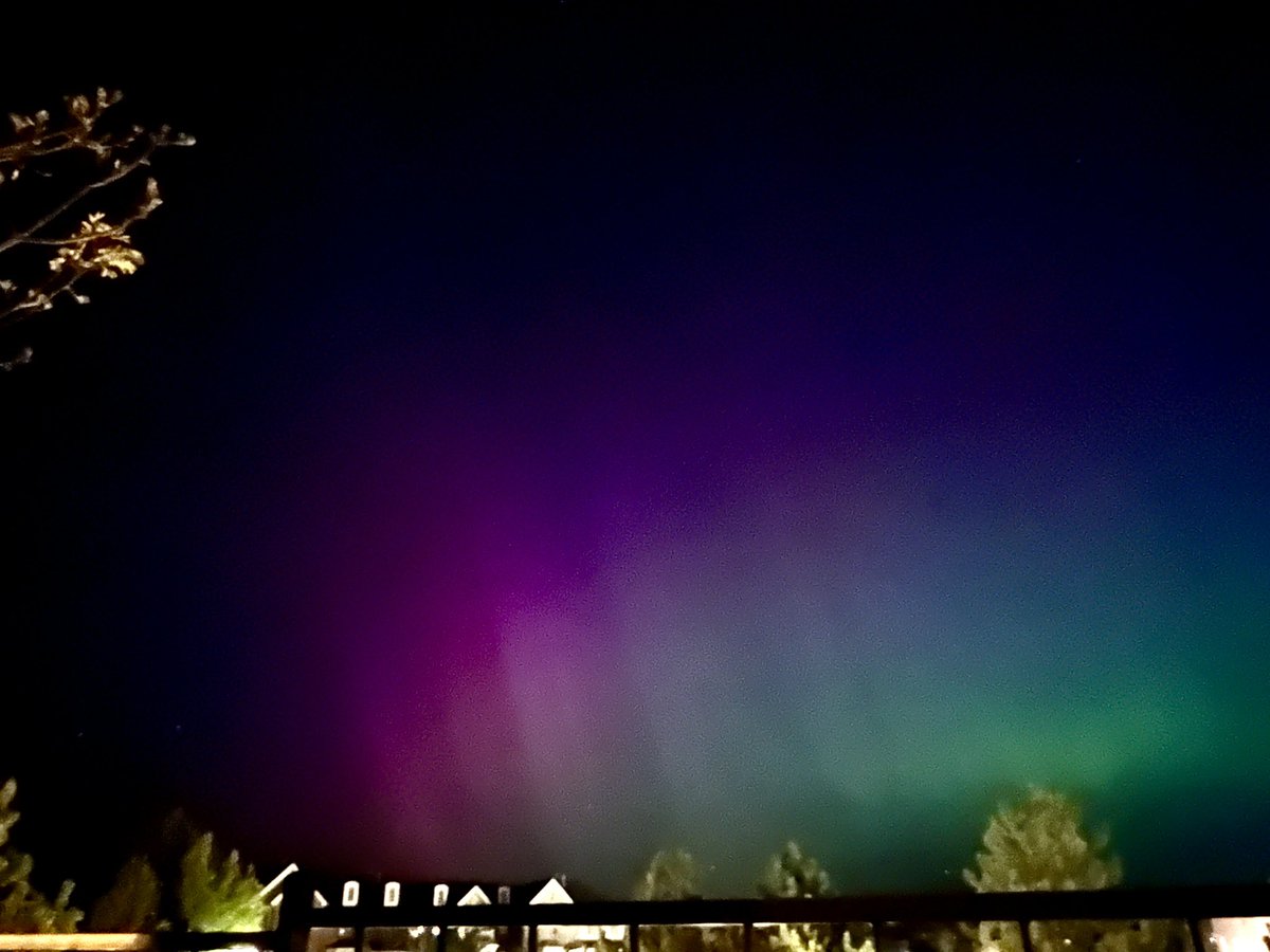 Katie McWilliams tweet media