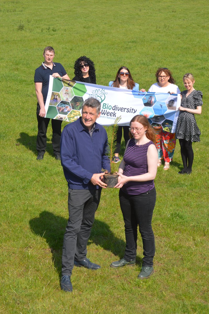 Dr Brendan Dunford from @BurrenbeoTrust presenting a Pinus sylvestris, Ireland’s only native pine tree to Catherine O’Toole, @irishenvnet Development Officer and Biodiversity Week coordinator, at the launch of #BiodiversityWeek2024