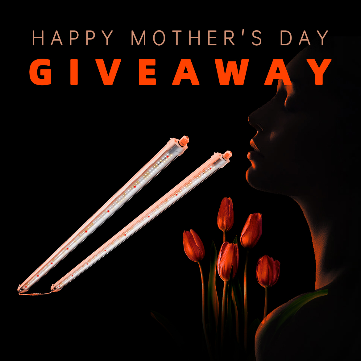 👩Mother’s Day GIVEAWAY are here!💐🌸 🔔RULE: 1⃣ Follow us 2⃣ Like & RT 3⃣ Turn MY noti on,and screenshot 4⃣ Tag 3 friends Finally, I wish all my fans and the greatest superhuman mothers a happy holiday！！！👩💐 ✨Good luck! #SpiderFarmer #giveaway #glow80