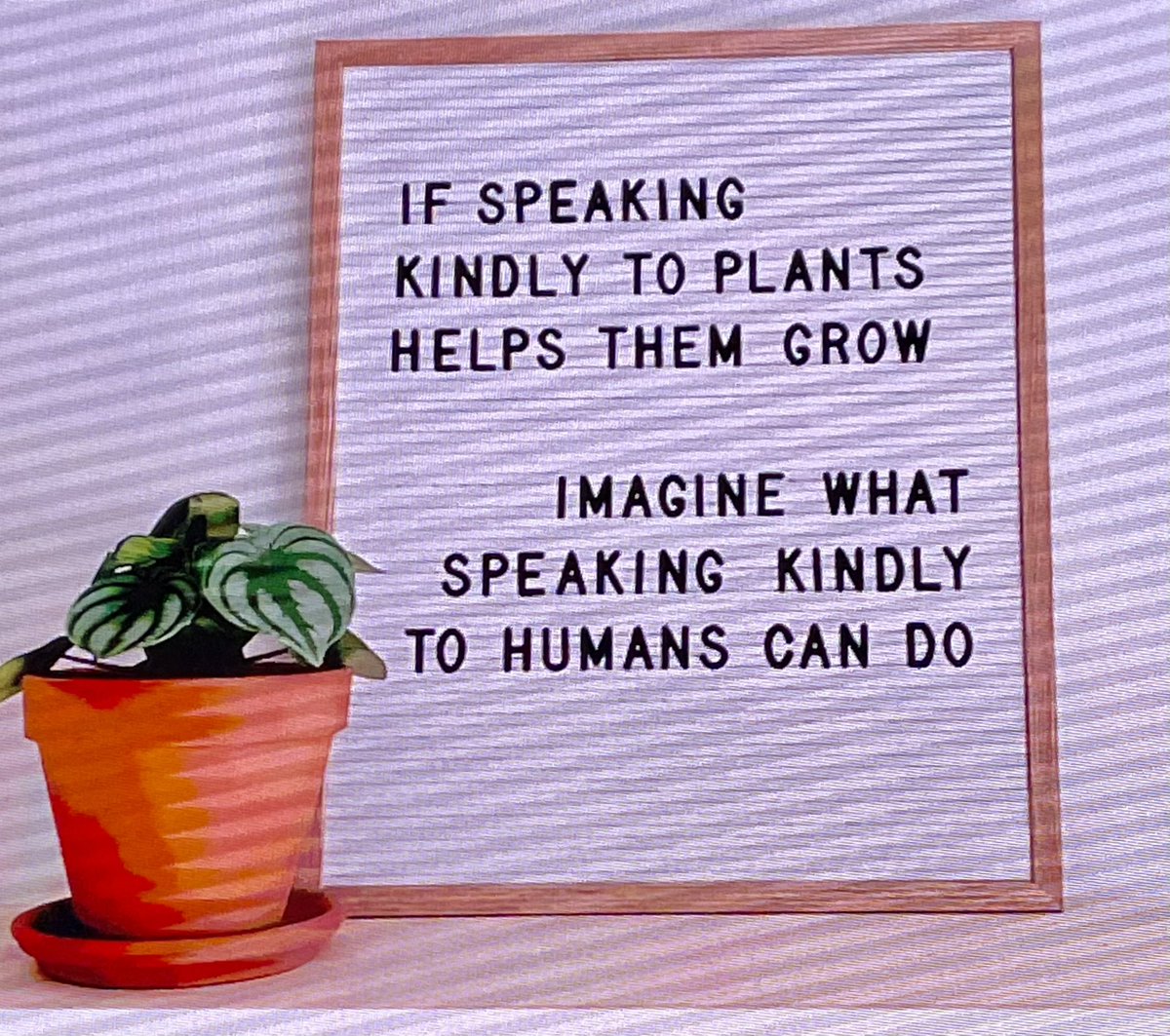 901built tweet media