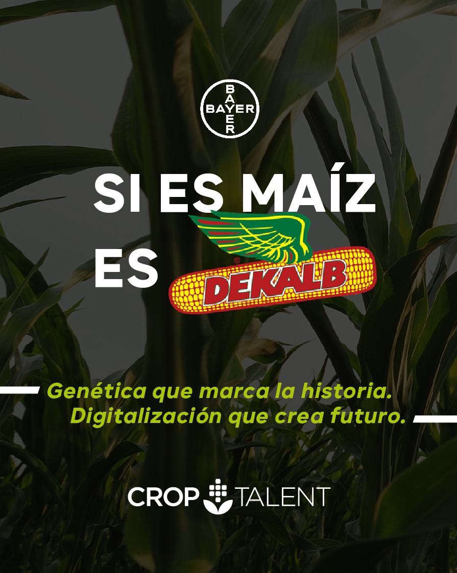 Genética que cambia la historia + Digitalización que crea futuro 
👉 Si es maíz es <a href="/DekalbArgentina/">DEKALB Argentina</a>
