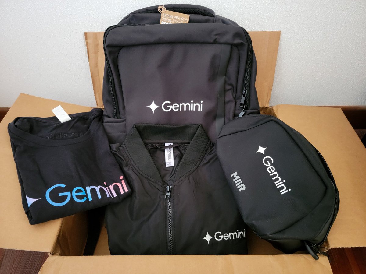 Gemini just arrived in the real world. Thanks for the cool swag! @googledevs @GoogleDevExpert #geminisprint #buildwithgemini