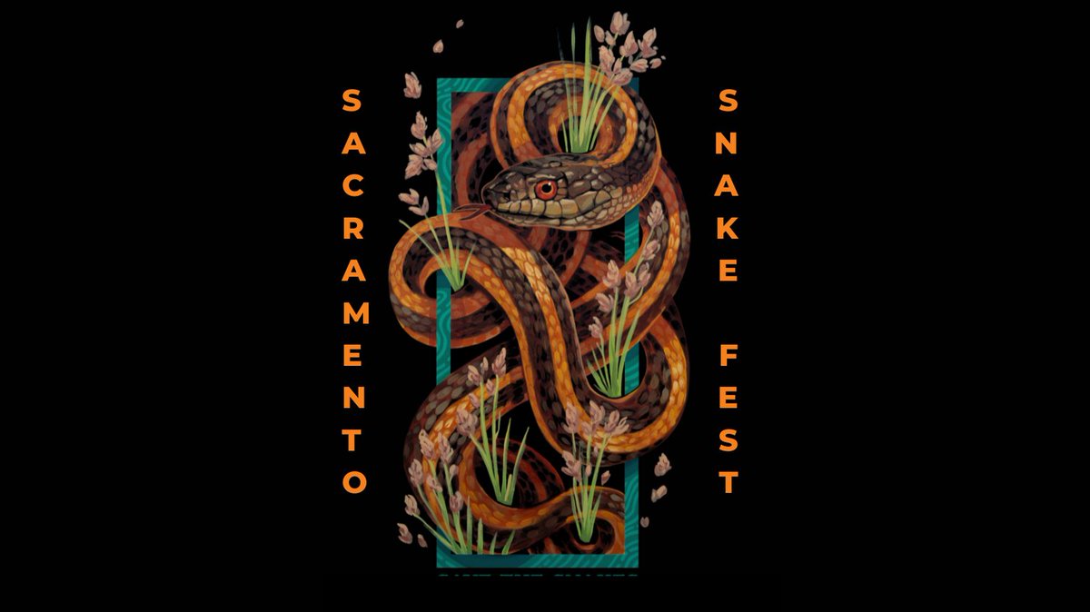 savethesnakes's tweet photo. Today is the day! The Sacramento Snake Festival will be held from 10am to 4pm at Hagan Community Park in Rancho Cordova, CA. Join us! 🐍
https://t.co/MlRWWNNh58
Snakes are important, let's celebrate them together!
#Sacramento #savethesnakes #sacsnakefest https://t.co/daPApSz6YN