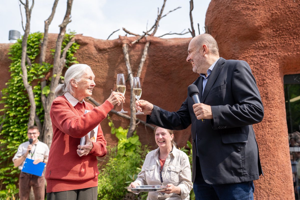 Jsem plný dojmů. Příjezd Jane Goodall a posezení na Sklenářce s jejími vzpomínkami a postřehy. (A také s jejím oblíbeným Johnnym Walkerem Green :-) Její návštěva u Šišky, od které se nemohla odtrhnout, a když jsme odcházeli, zmínila, že takhle luskouna ještě neviděla. Čekání na…