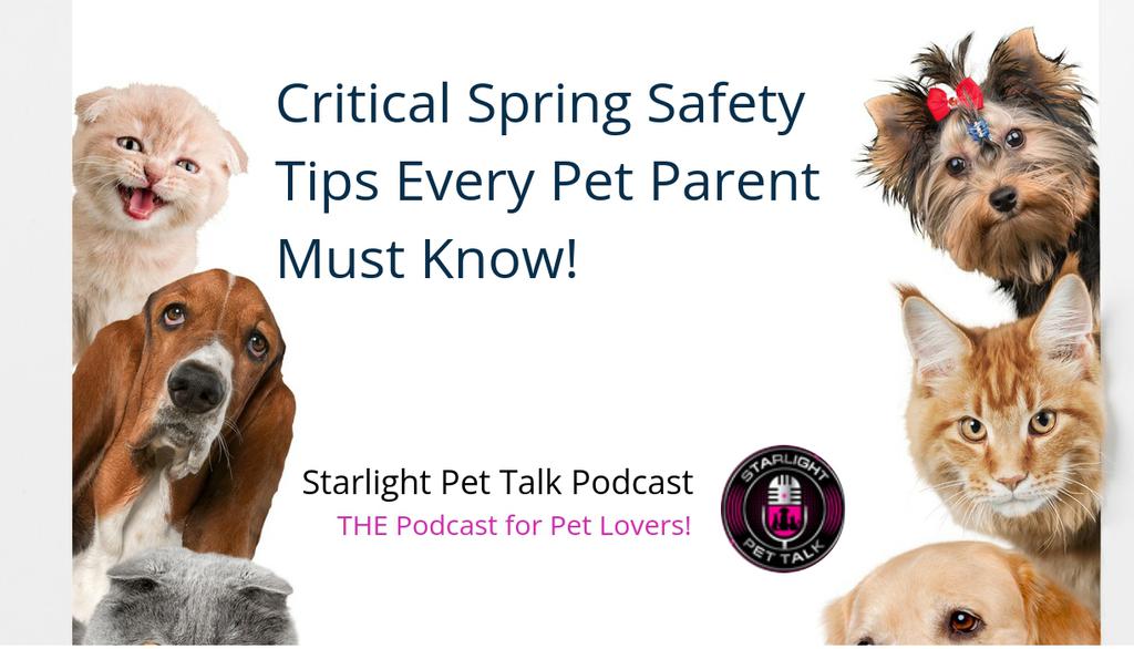 Gear up for adventures with a reliable leash and secure collar, coupled with essential obedience training for your pet's safety.

Learn more 👉 lttr.ai/AScZW

#spring #podcast #pets #starlightpettalk #cat #petparent #dog