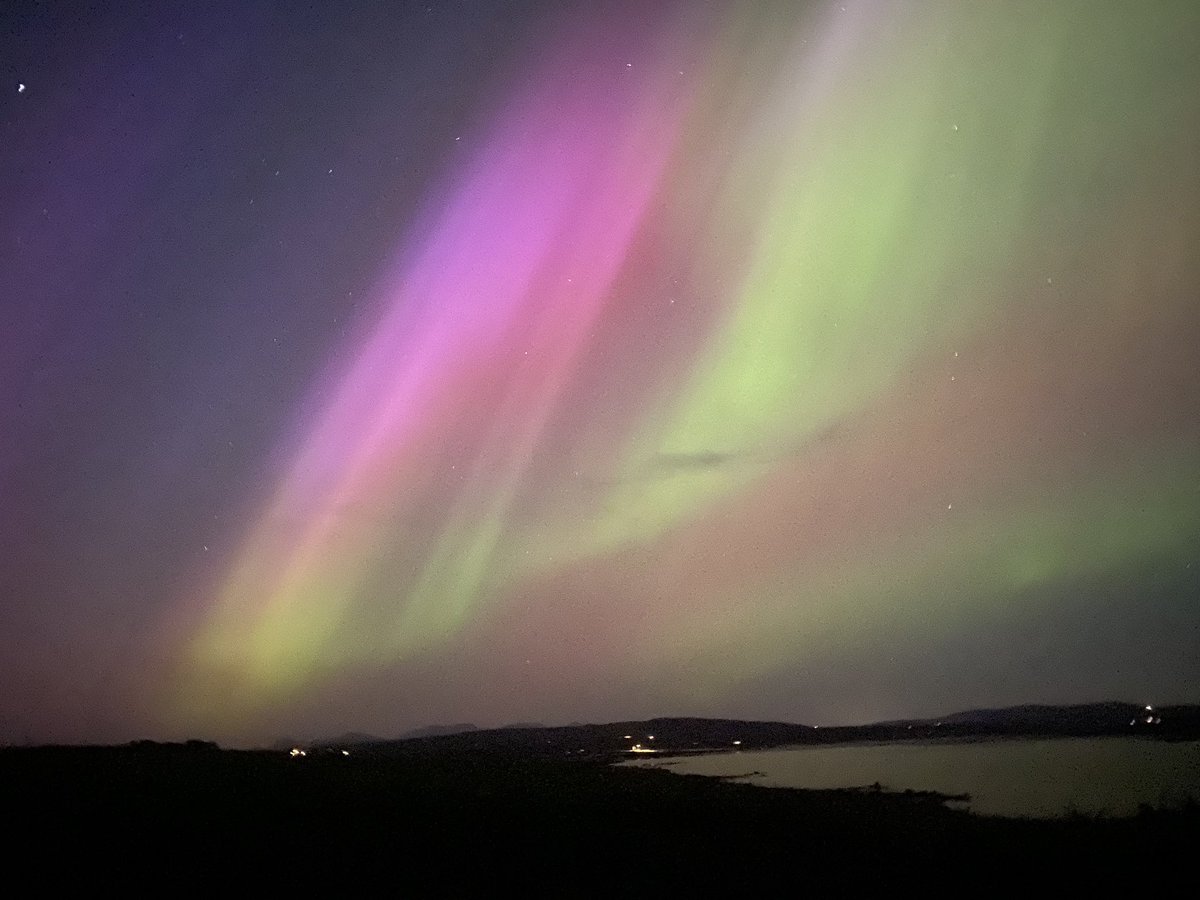 Dr Michelle Loughlin FFPH tweet media