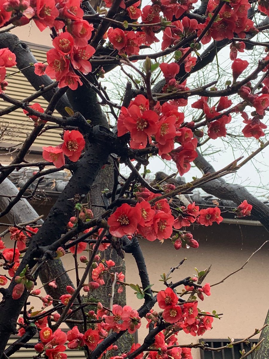 Nat (@19_natha) on Twitter photo 