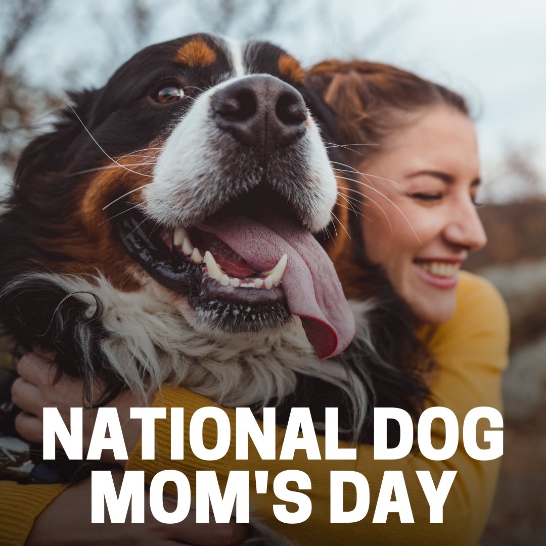 It's National Dog Mom's Day! 🐶♥