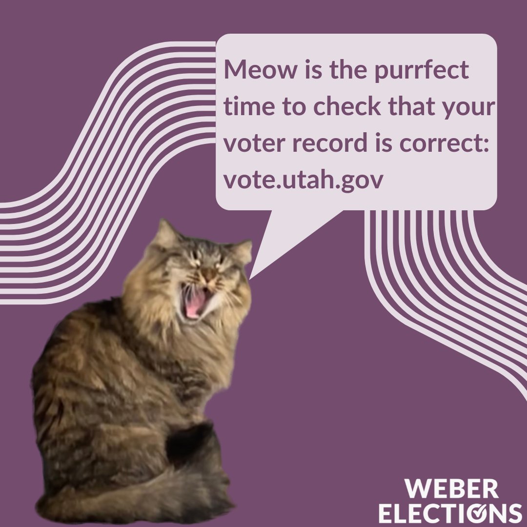 Meow is the purrfect time to check that your voter record is correct: vote.utah.gov #weberelections #utahelections #cats #puns #psa #utah
