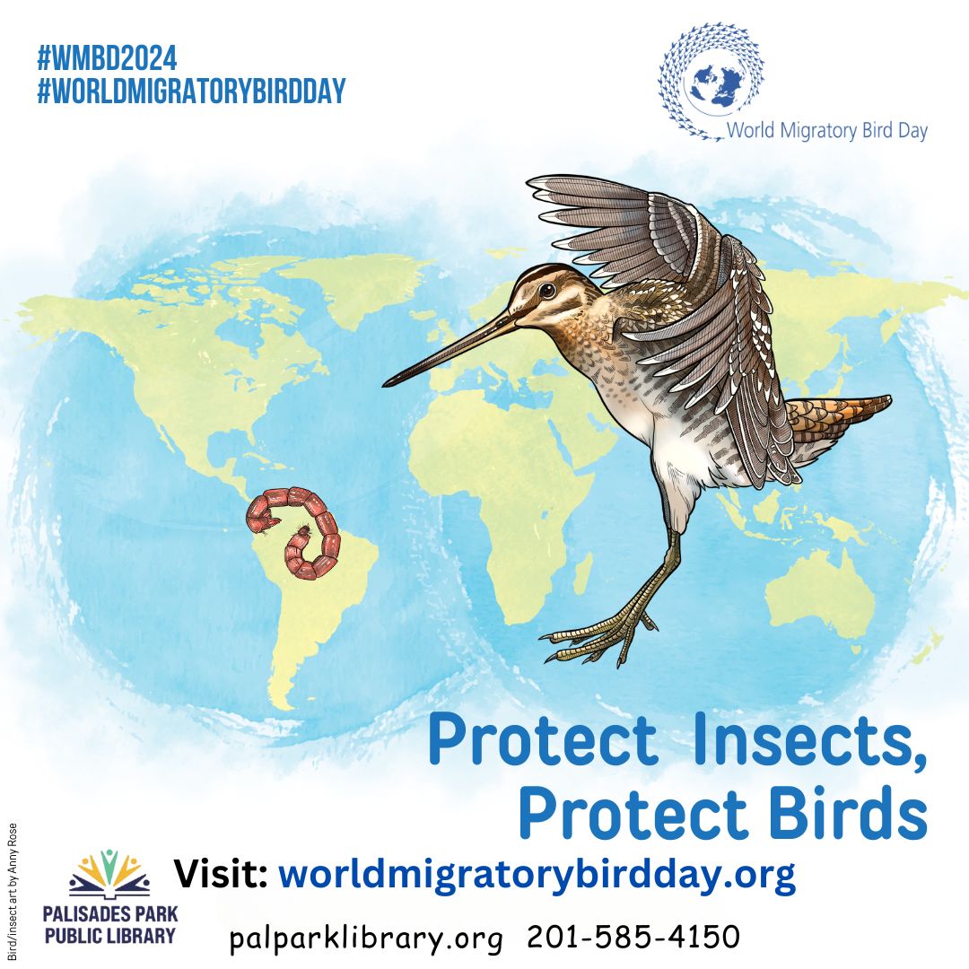 Today is World Migratory Bird Day
Library Hours: 10am - 4pm
*11am Creative Movement Story Adventure with Dabbling Brook
*Registration Required
#WorldMigratoryBirdDay #WMBD2024
#followbccls #bcclslibraries #palisadesparkpubliclibary #bcclsunited #palisadesparknj #bccls