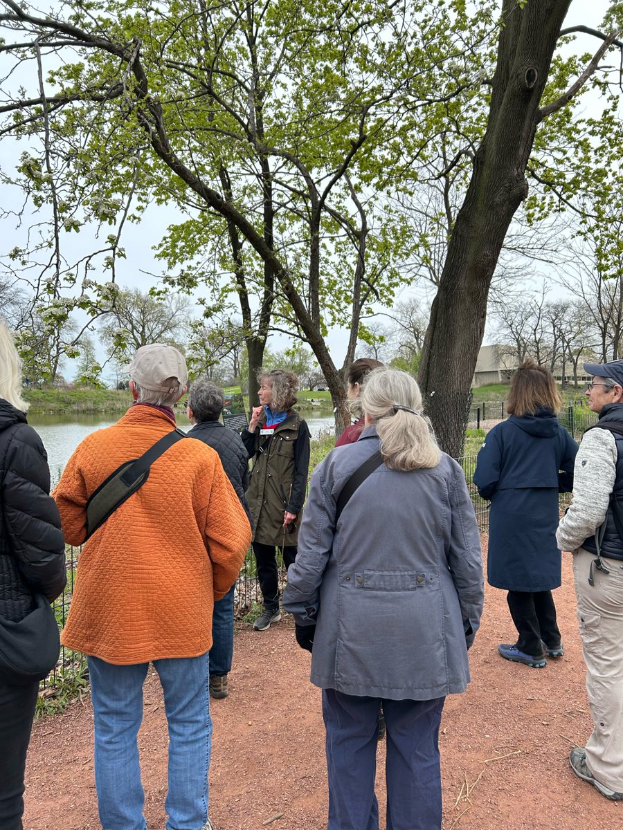 🎒 ✈️ The Passport to Lincoln Park program continued on Friday, April 26 with a North Pond Wildflower & Wildlife Walk, hosted by our Manager of Park Stewardship, Maeve Callaghan, and wildflower walk docent, Janet Swenson. 🌼 🐿️ 🌿 #LPLove #LincolnPark #NorthPond #ExploreChicago