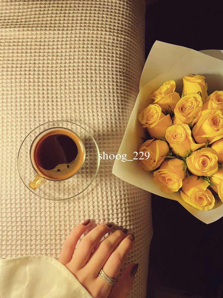 ﮼شوق،نجد tweet media