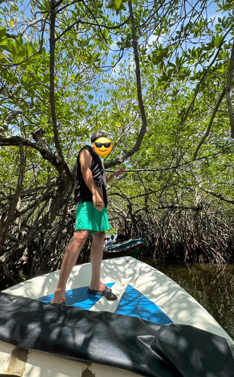 TanManDhan299's tweet photo. Not Maldives 🇲🇻 but better than Maldives 
Somewhere in South Africa 🐉🌲 https://t.co/InN6piqQ7M