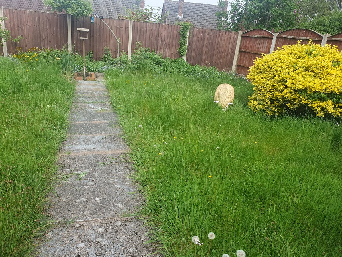 Need to get a landscape gardener in. Anyone want to do a free garden makeover? 😅