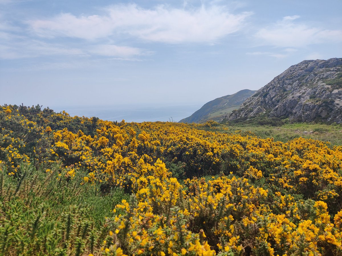 Feeling like I'm in Middle-Earth right now 😍 Bray Head, Ireland 📍