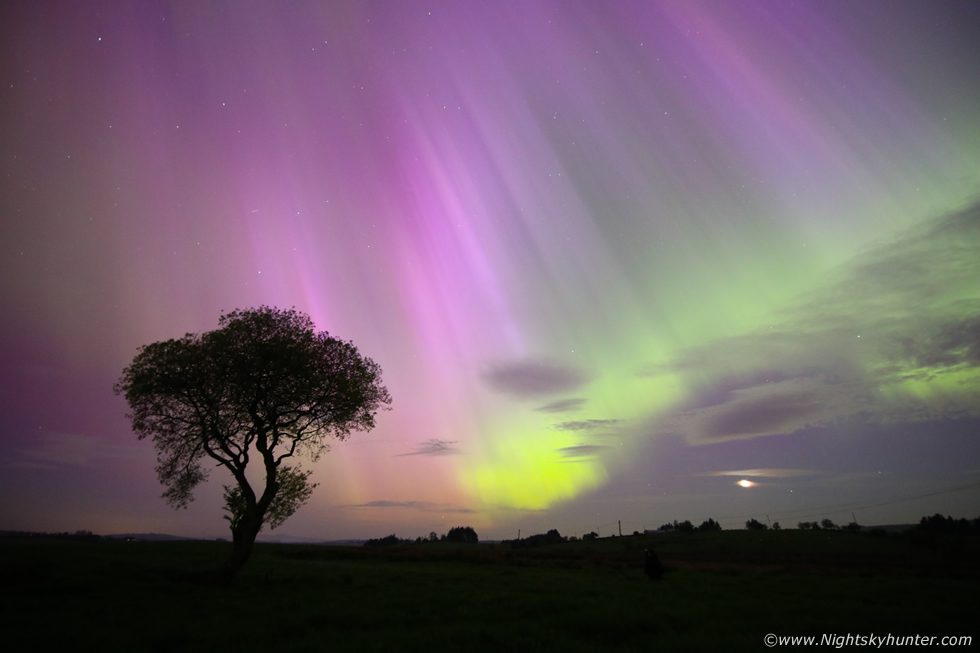 G5 storm over fairy tree between Beaghmore and Davagh last night. An epic night which I will never forget! - that's the crescent moon setting while being surrounded by vibrant auroral rays. Will post more images later. nightskyhunter.com #aurora #beaghmore #davagh