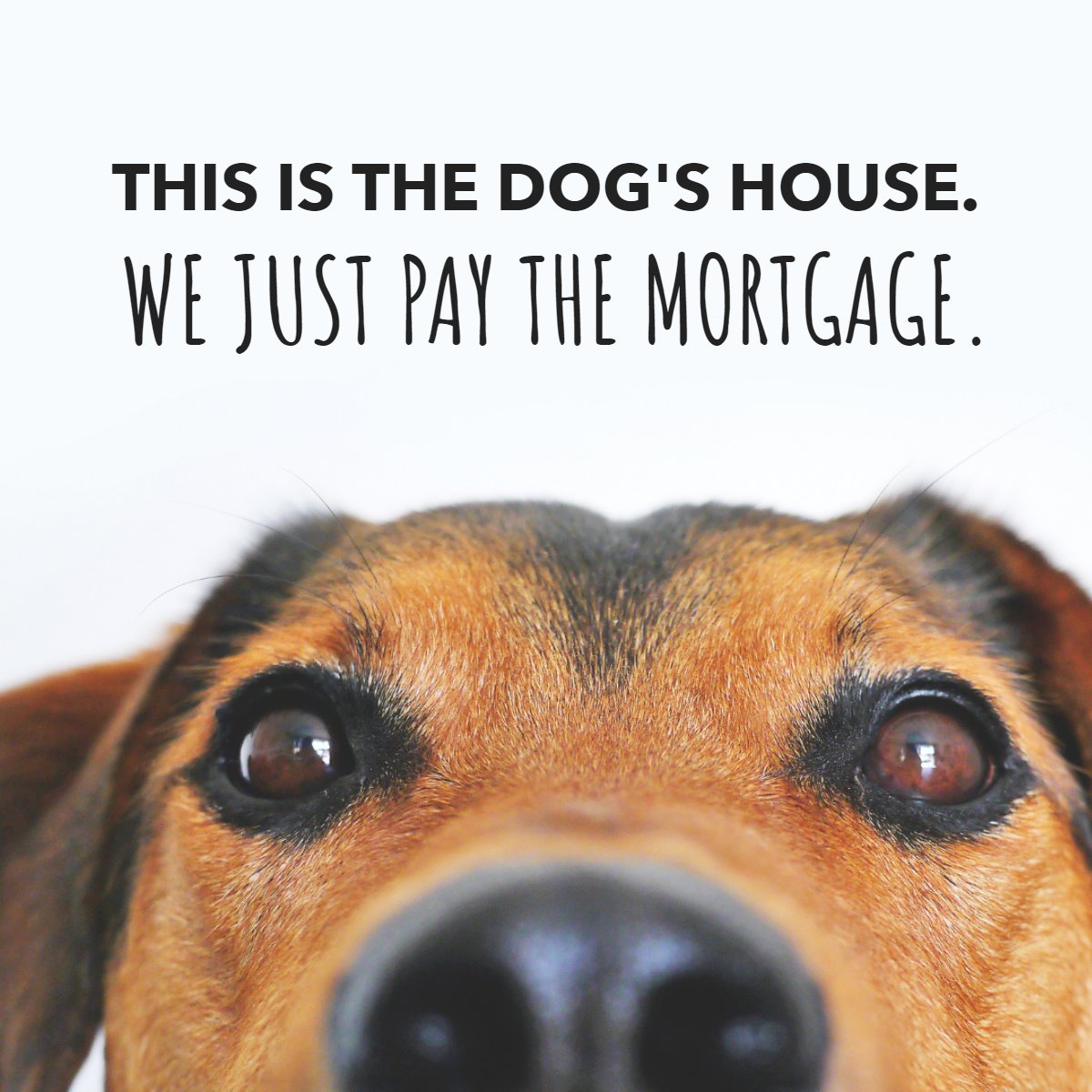 Welcome! 😅

#mortgage #fun #dog'shouse #pay
 #peirealestate #Chrisweir #pei #mrrealestatepei #realtorpei #summersiderealestate #NorthernlightsRealty #RealEstatePEI #PEIProperties #IslandLife #PrinceEdwardIslandRealEstate #PEIhomes #PEIrealtor #PEIhomeforsale