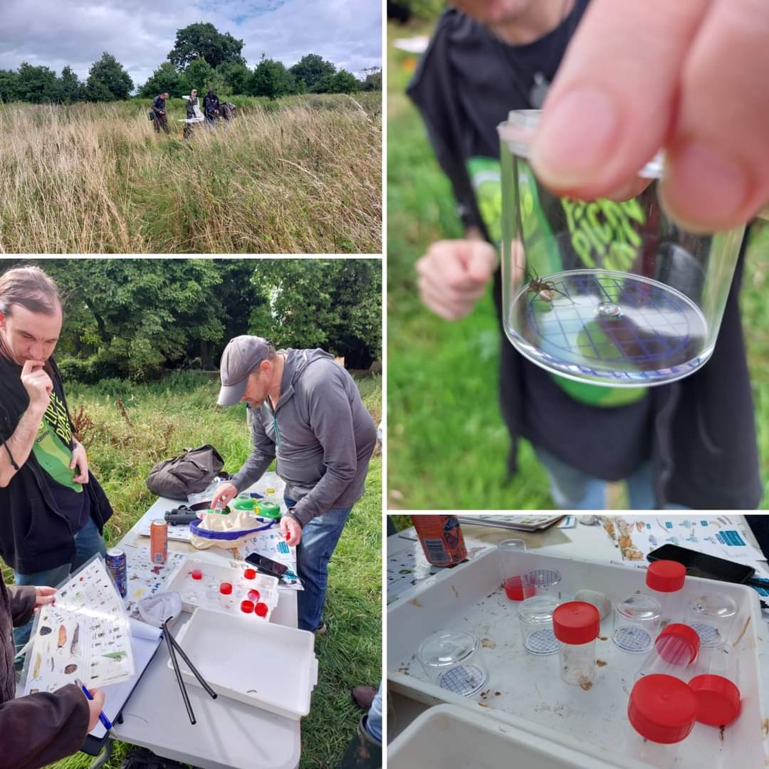 The Bartley Bioblitz is back NEXT WEEKEND!! 🐛🦋🐜🐝🐞🪲 Please come and help us record as many species around Bartley Reservoir as possible 🔍 Sat 18th May: 10.30 - Botany Blitz with the North Worcs Flora Group @ St Leonards Church 2.30pm - Bug Hunt @ St Leonards Church (1/2)