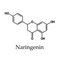 [1:9]
Diabetes
Insulin Resistance
Naringenin potentiates intracellular signaling responses to low insulin doses by sensitizing hepatocytes to insulin.[1:10]
Naringin improves overall insulin sensitivity and glucose tolerance.