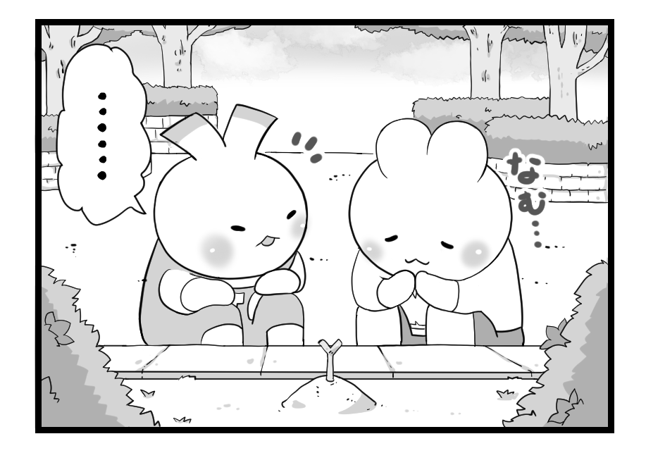 (3/4) 