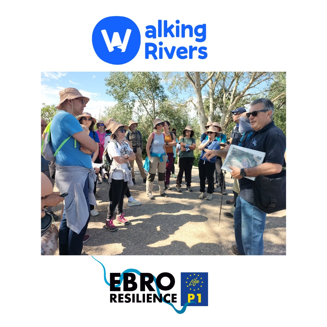 Hemos recorrido 7 km, hemos disfrutado del #Ebro, de los sotos, de la conversación 💬, y hemos hablado de #LIFEebroResilienceP1 y de recuperar espacio fluvial.
Gracias a los que habéis caminado con nosotros 👣 y os habéis acercado al Ebro y a las acciones ante las #inundaciones.