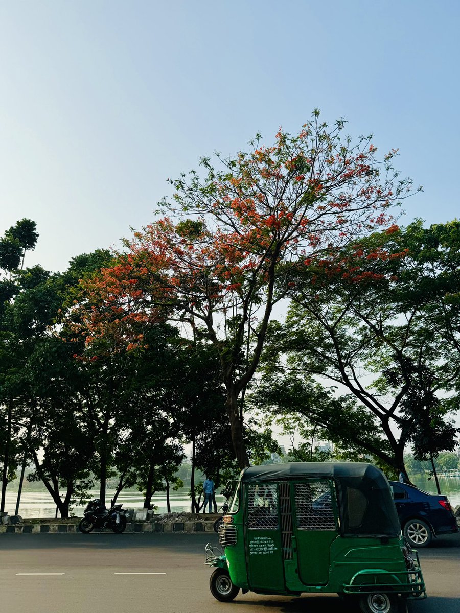 Dhaka and Krishnochura ✨