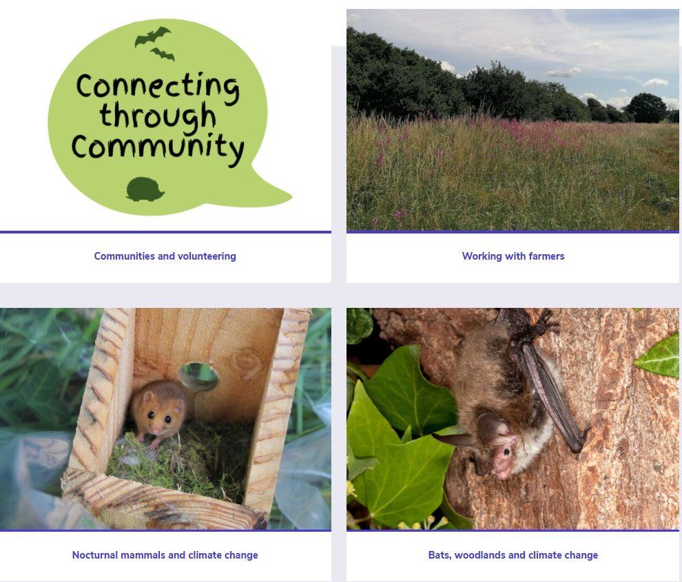 The Connecting People and Landscapes project brings together farmers and communities across Devon to create a more resilient landscape in the face of changing climate! Find out more about this project and how it will help bats: buff.ly/3UUxhQ0
