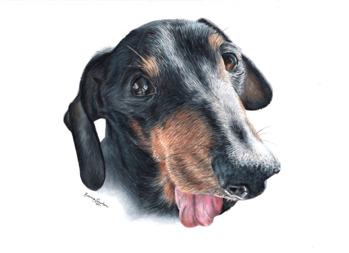 A commissioned doggo portrait from 2021. It was a busy year! #dogportraits #tongueouttuesday #petportraits #petportraitart #dogportraitart #petportraitartists #petportraitartist #dogartists #dogartist #realisticdogart