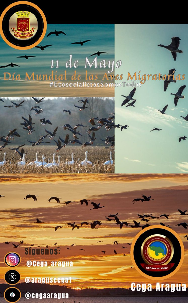 Día Mundial de las Aves Migratorias...
#EcosocialistasSomosTodos
@aacastejon 
@_REDICentral 
@CEOFANBVE 
@CZ42Aragua 
@dhernandezlarez 
@ElioEstrada18 
@GnbGaranteDePaz 
@Ruf0P6rr6 
@Soykarinacarpio 
@ZodiAragua3 
@CZ42Aragua