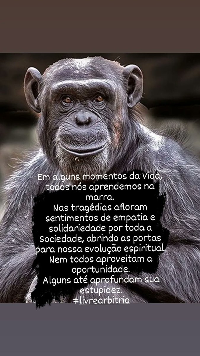 Em alguns momentos da Vida, todos nós aprendemos na marra. Nas tragédias afloram sentimentos de empatia e solidariedade por toda a Sociedade, abrindo as portas para nossa evolução espiritual. Nem todos aproveitam a oportunidade. Alguns até aprofundam sua estupidez. #livrearbitrio