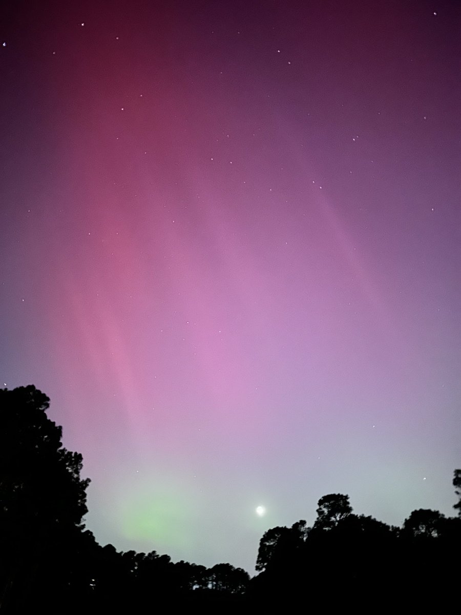 MandieIngram's tweet photo. @SandyStanford7 @hamandavocadof1 Yes! It just looked like a pink haze to the naked eye. I used night mode on my iPhone and got these in South Carolina. It will happen again tonight, hope you can see them! https://t.co/7pHv9ktW4G