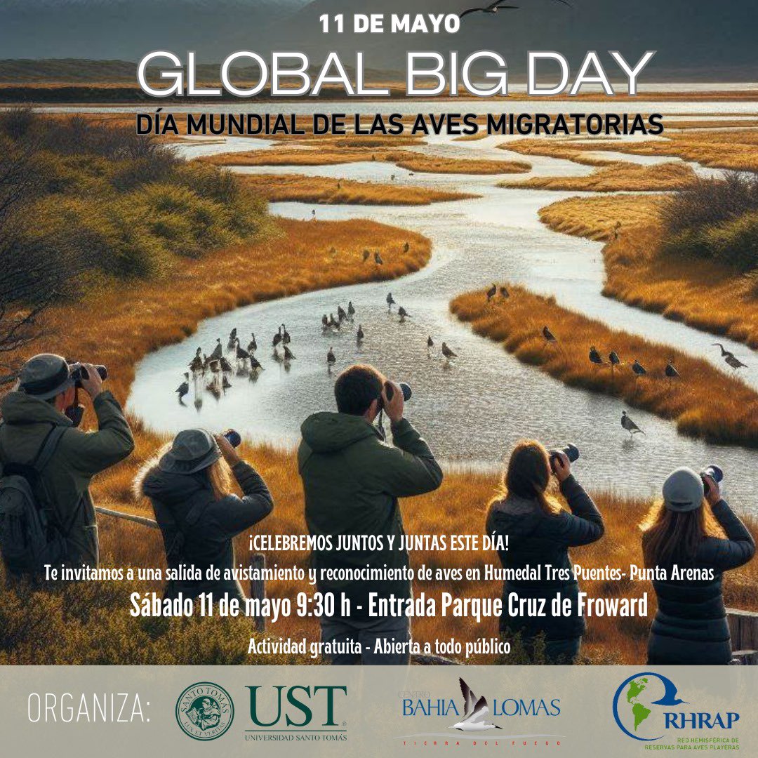 ¡Hoy es el día! Global Big Day. A observar y contar aves en todo el mundo. #díamundialdelasavesmigratorias
